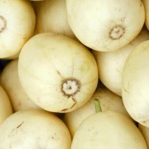 Melón Blanco