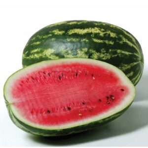Sandia