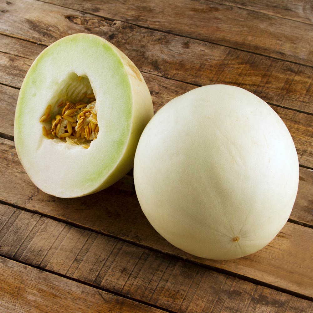 Melon blanco