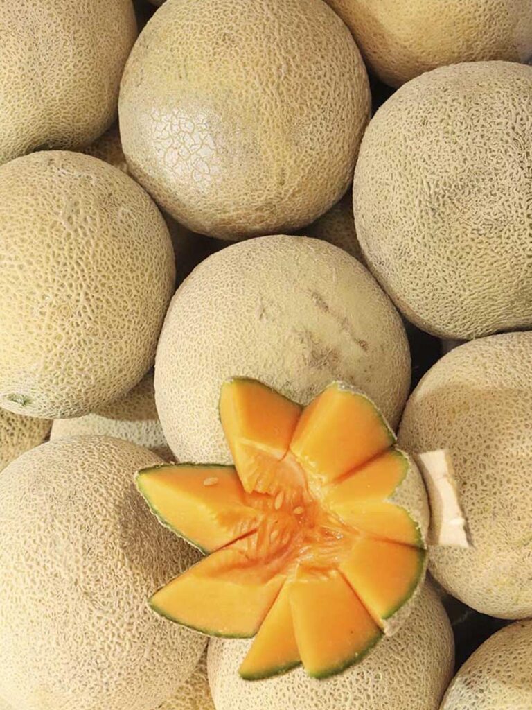 Melon