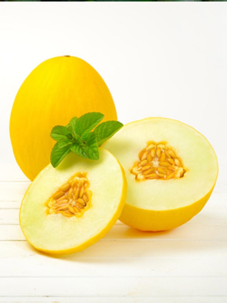 Melon Amarillo
