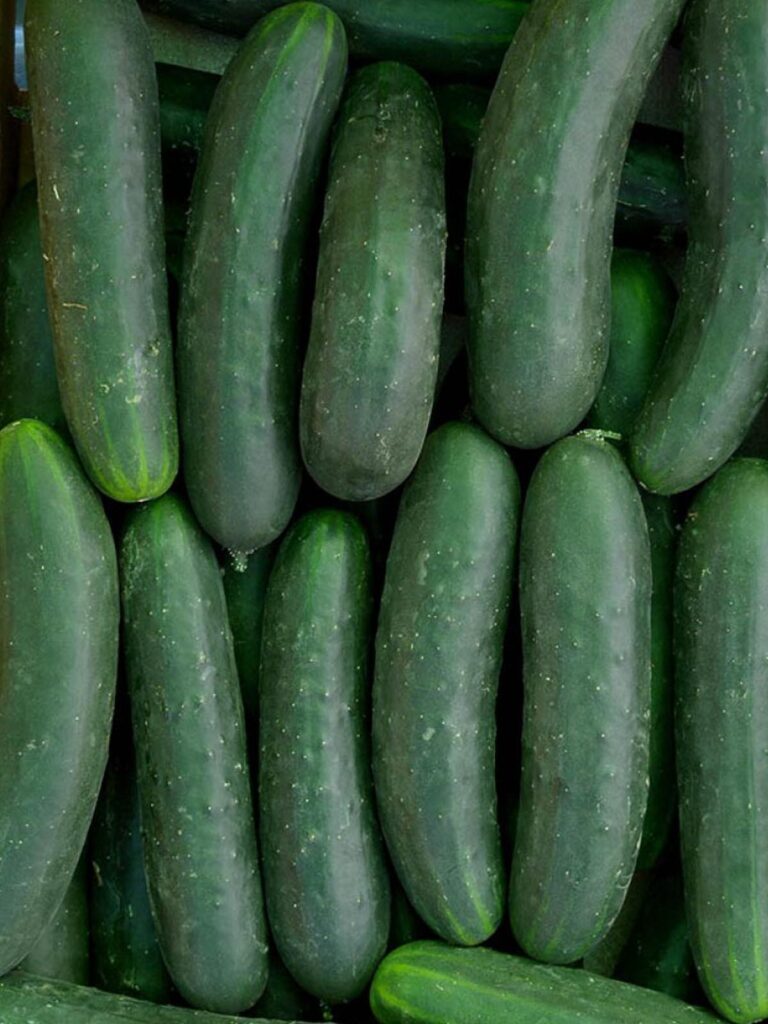 Pepino