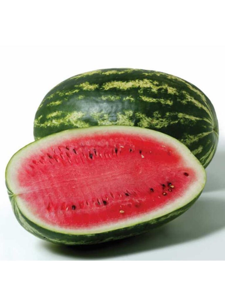 Sandia